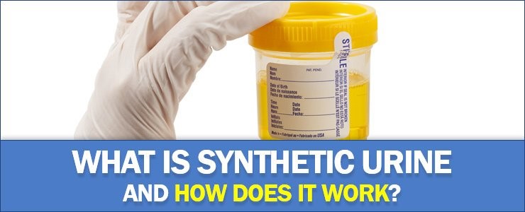 Synthetic Urine Drug Cedar Brooke Rogers AR